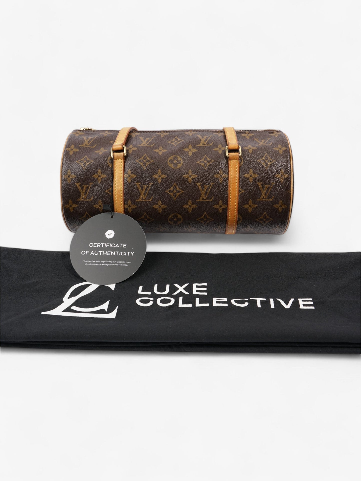Louis Vuitton Luis Vuitton Monogram Coated Canvas 30