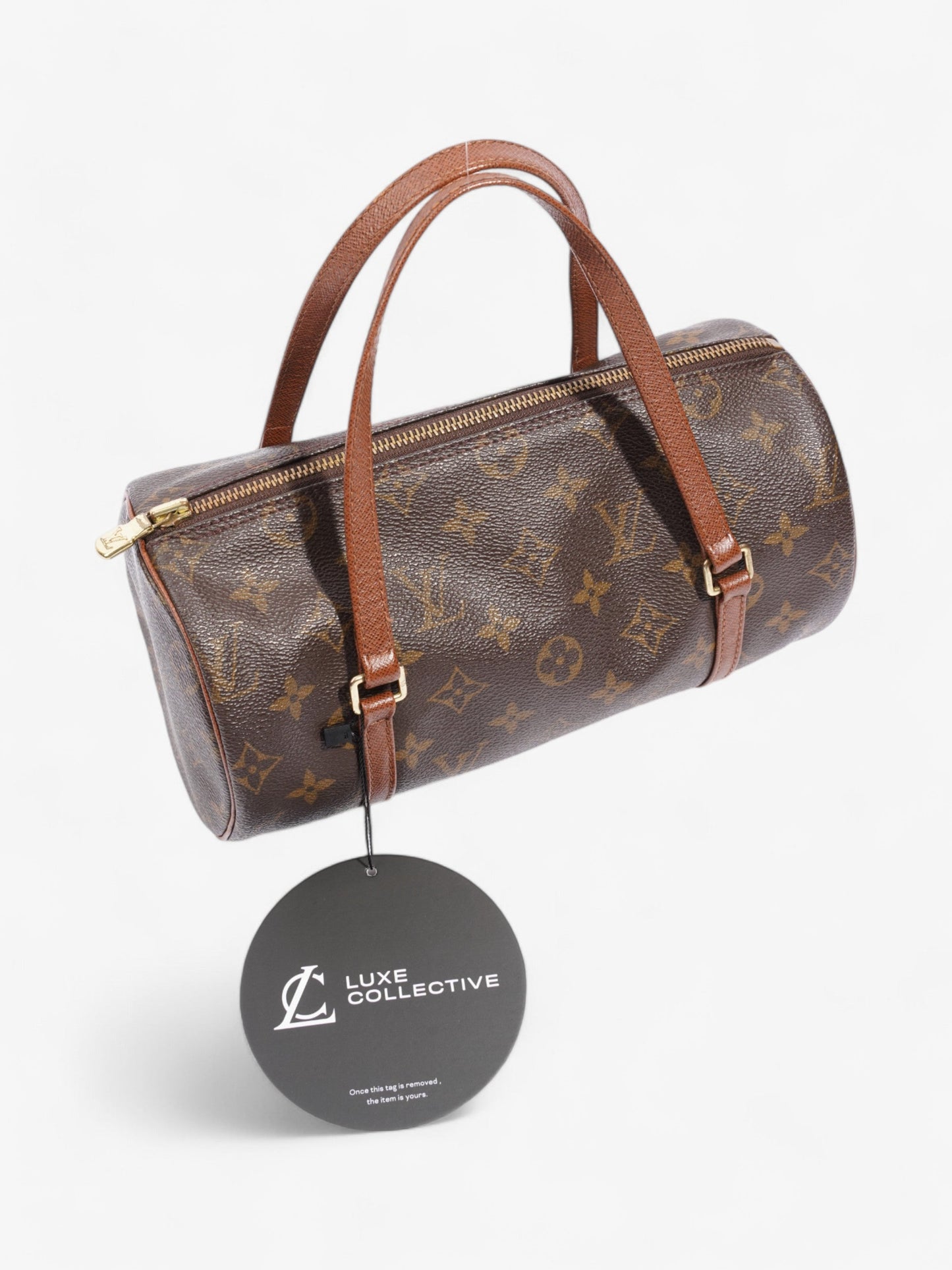 Louis Vuitton Papillon Monogram Coated Canvas 26