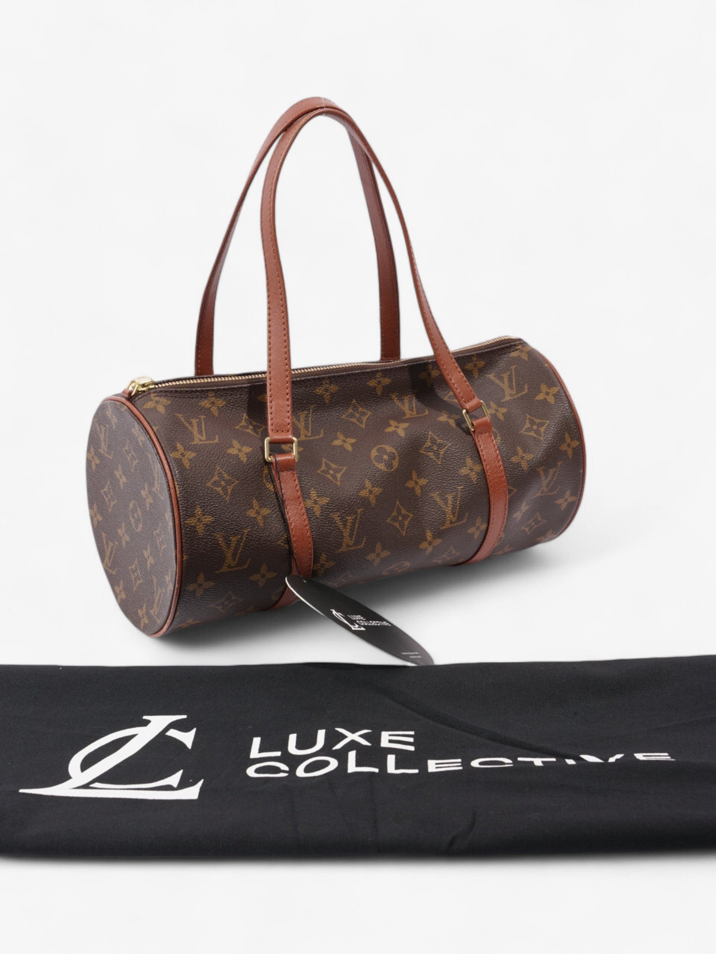 Louis Vuitton Papillon Monogram Coated Canvas 30