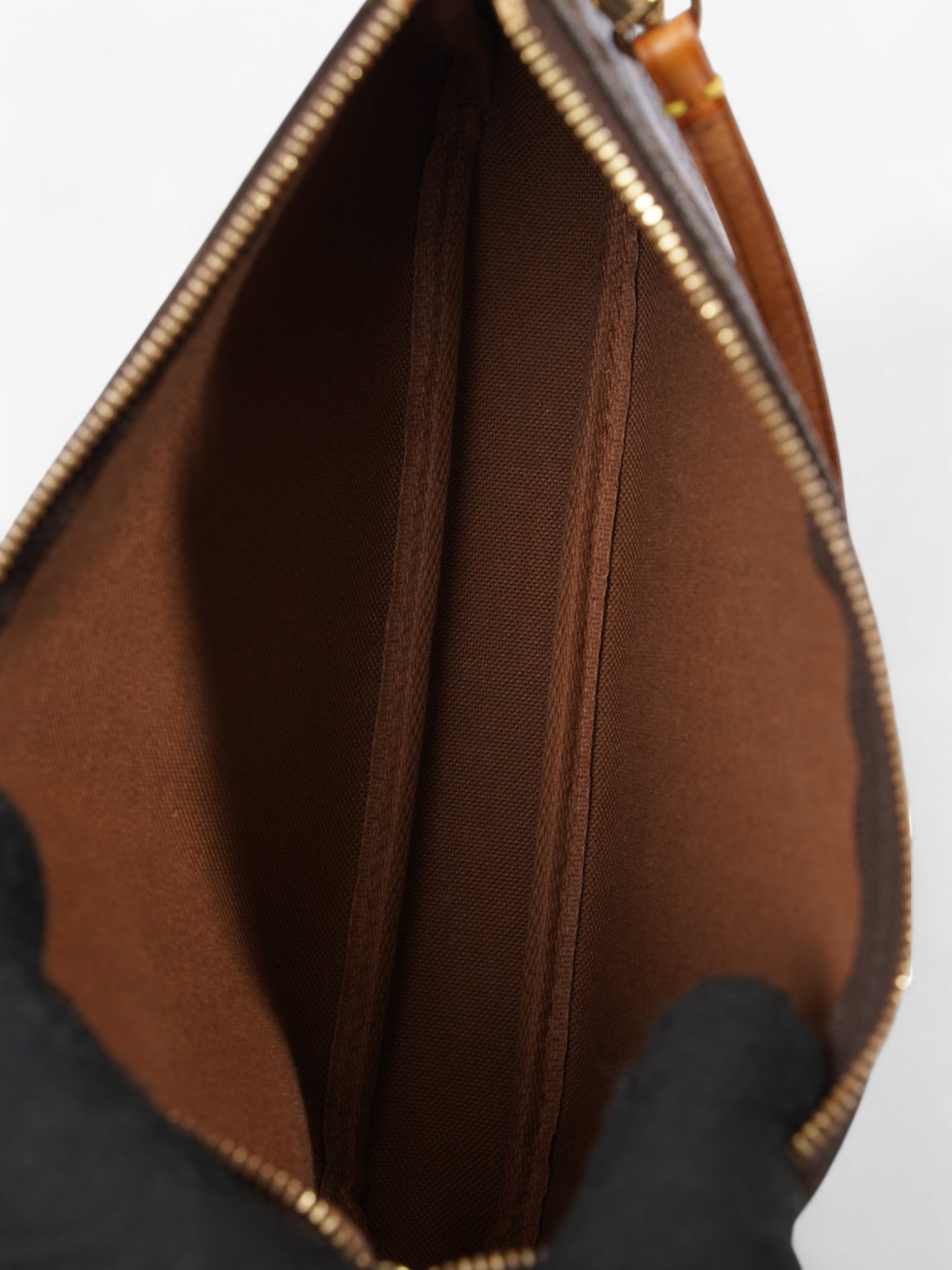 Louis Vuitton Pochette Accessoires Monogram Coated Canvas