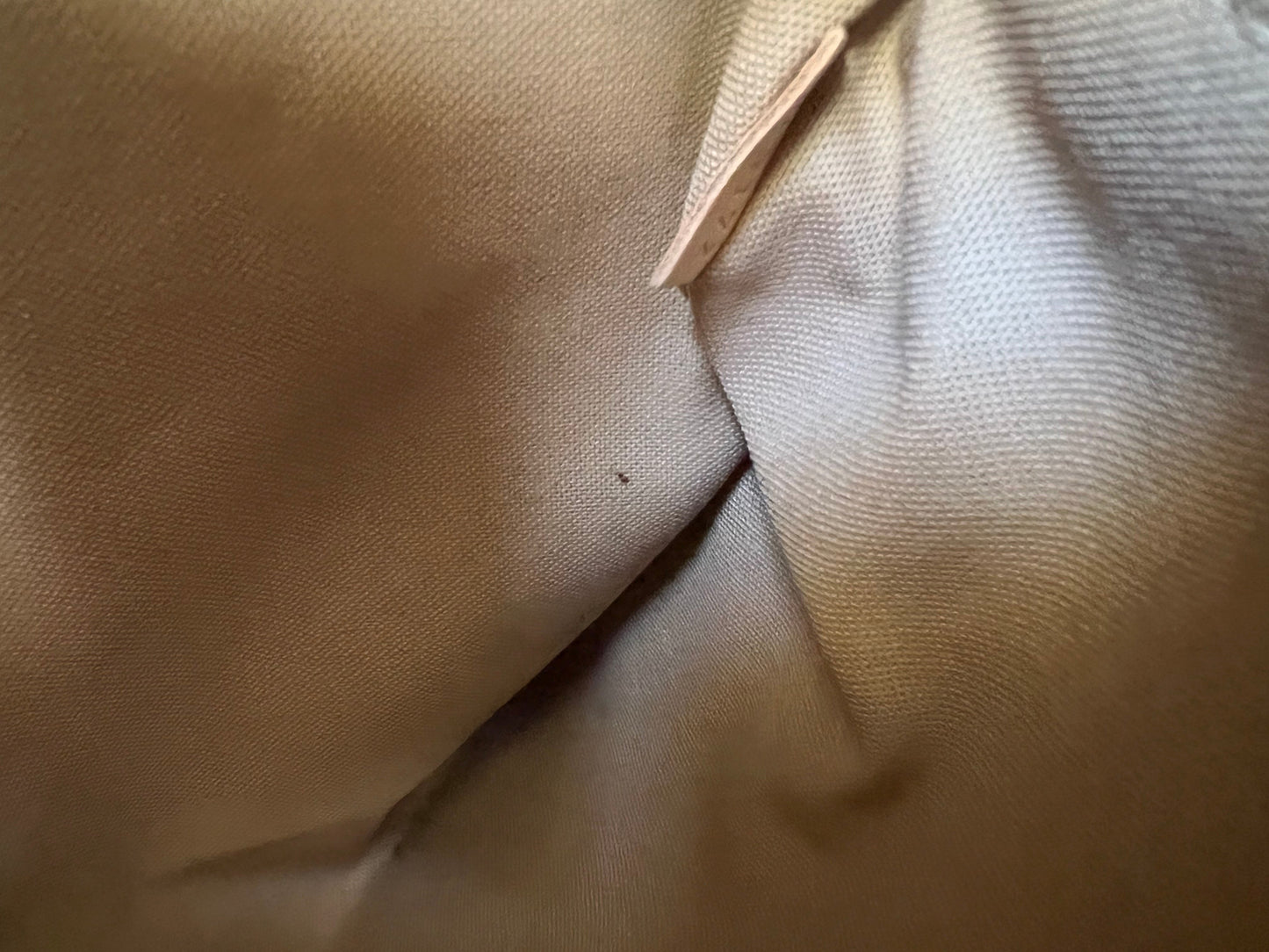Louis Vuitton Delightful MM Monogram