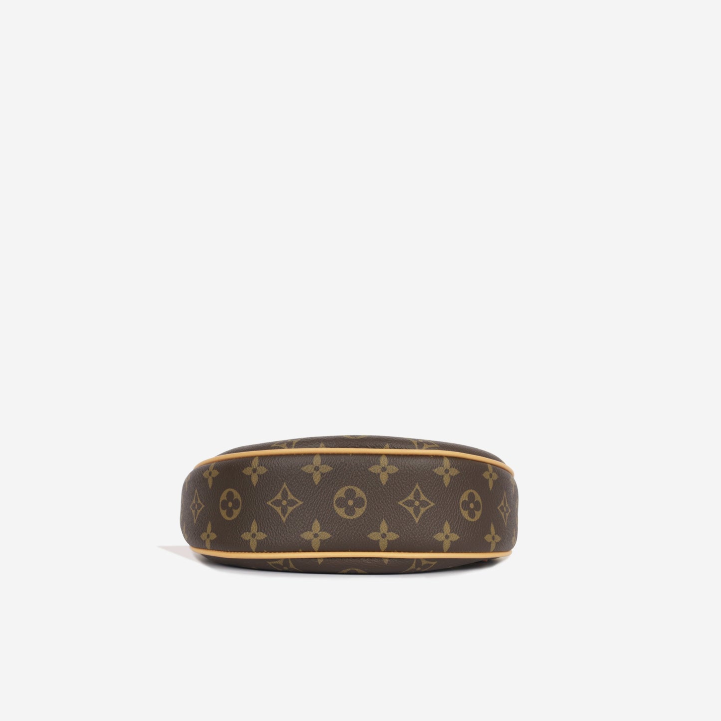 Louis Vuitton Loop Bag