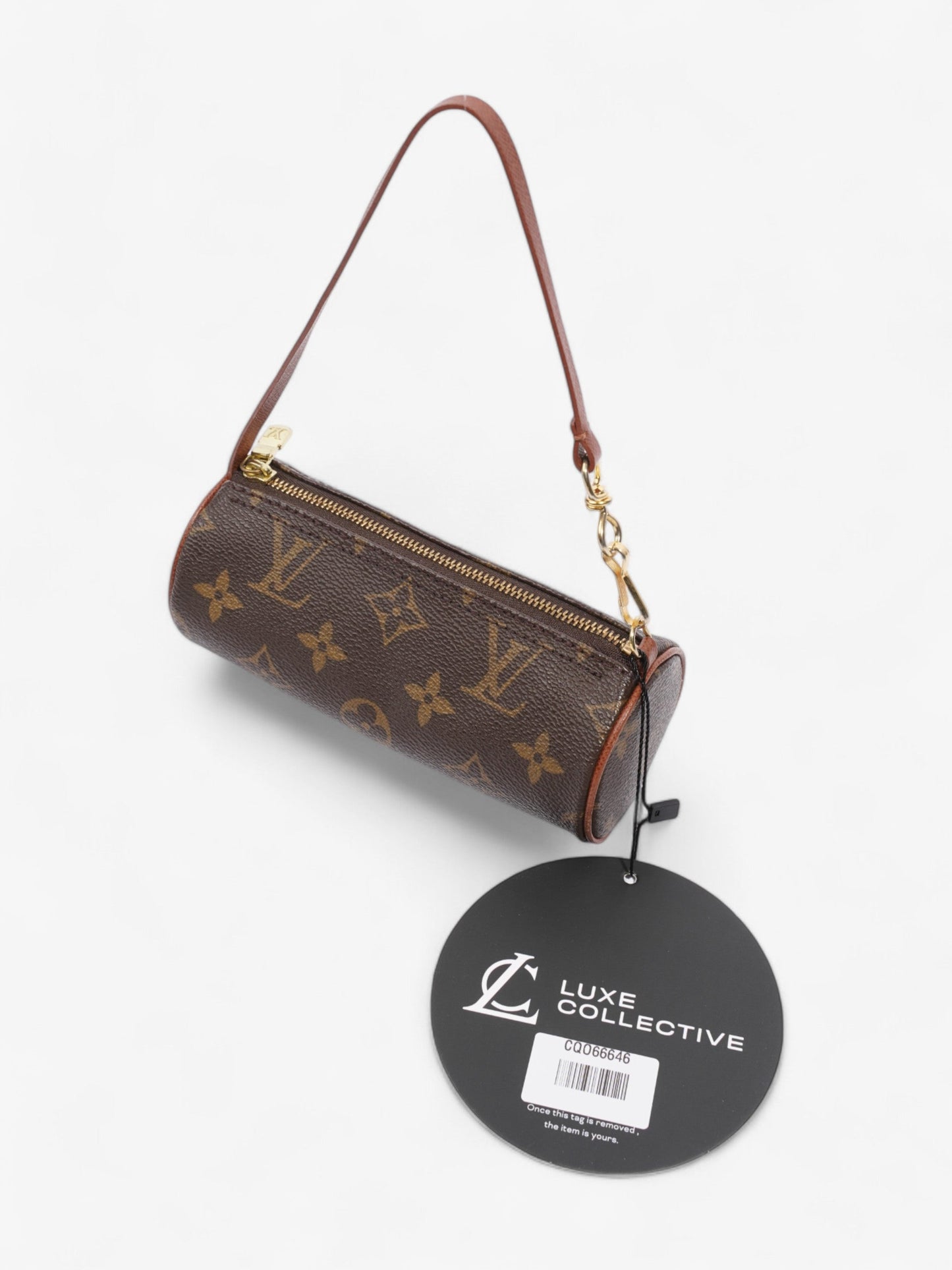 Louis Vuitton Papillon Monogram Coated Canvas Mini