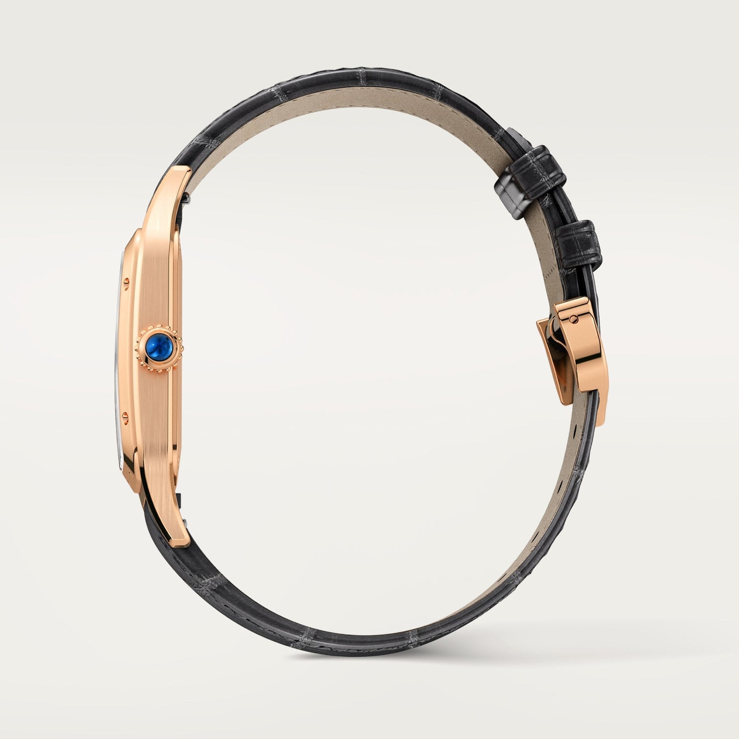 Cartier Santos-Dumont WGSA0021