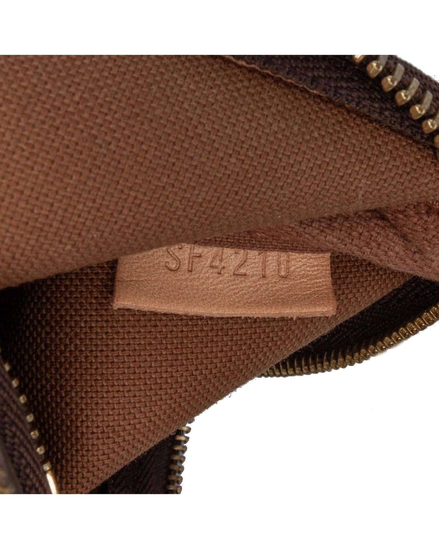 Monogram Canvas Mini Pochette with Chain Strap and Zip Closure