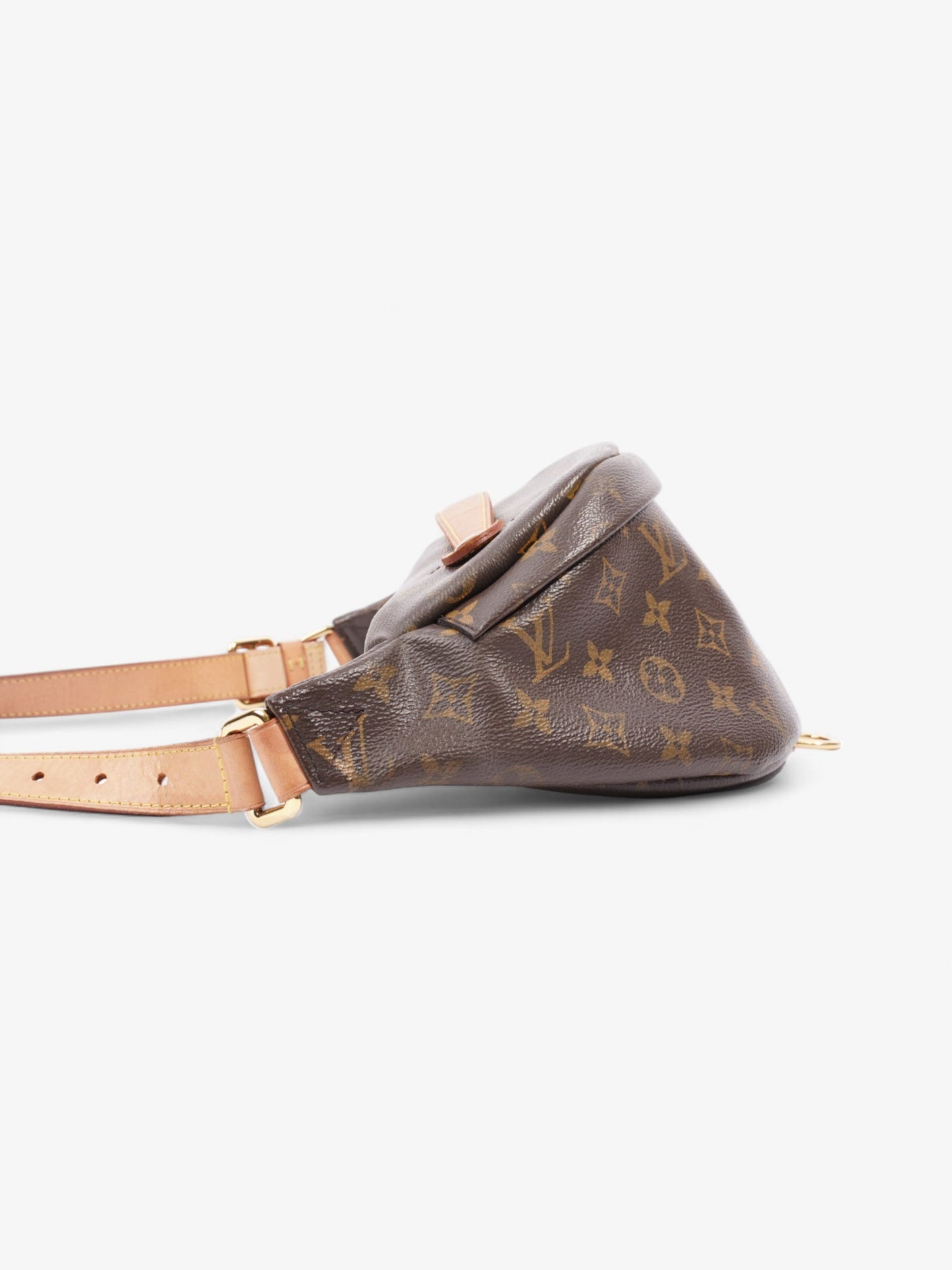 Louis Vuitton Bumbag Monogram Canvas