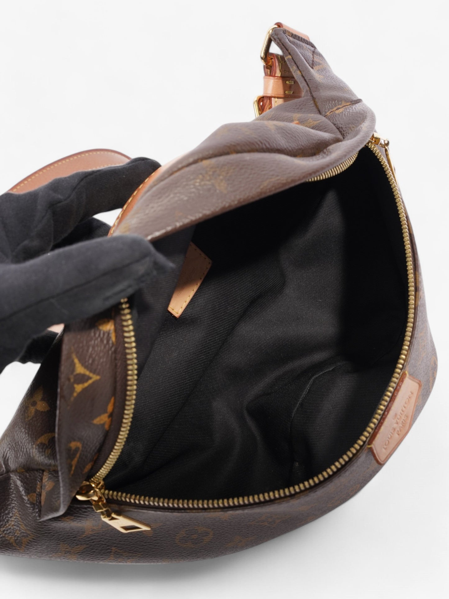 Louis Vuitton Bumbag Monogram Canvas