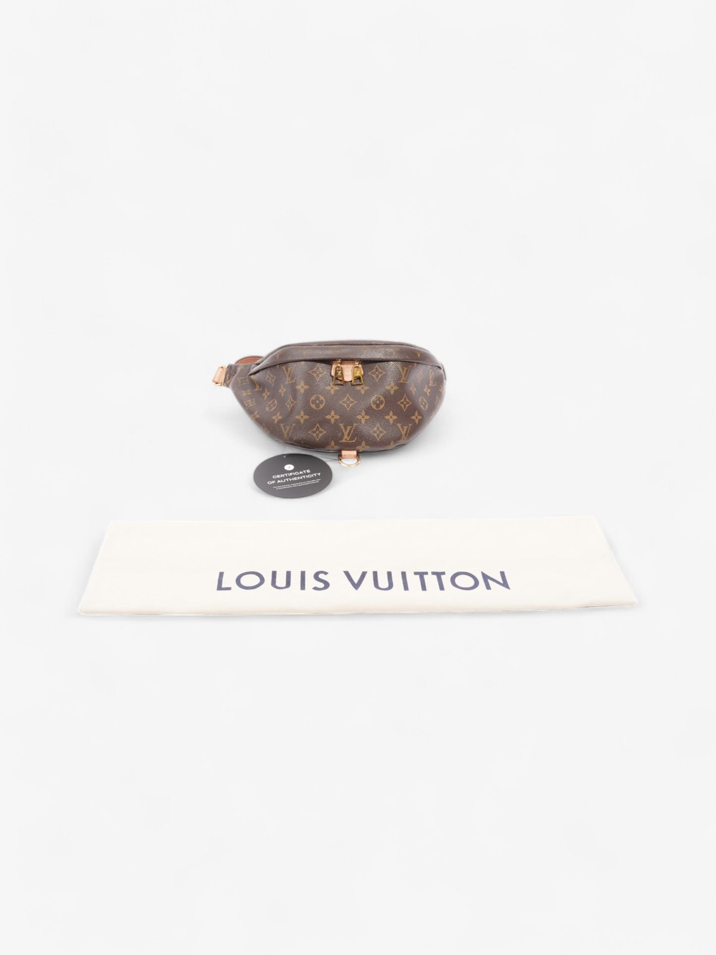 Louis Vuitton Bumbag Monogram Canvas