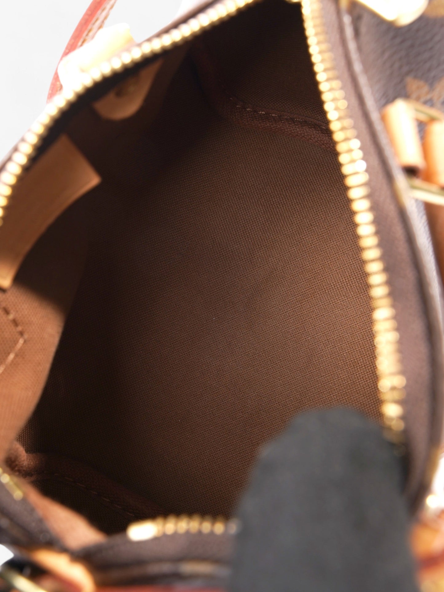 Louis Vuitton Speedy Monogram Coated Canvas Nano