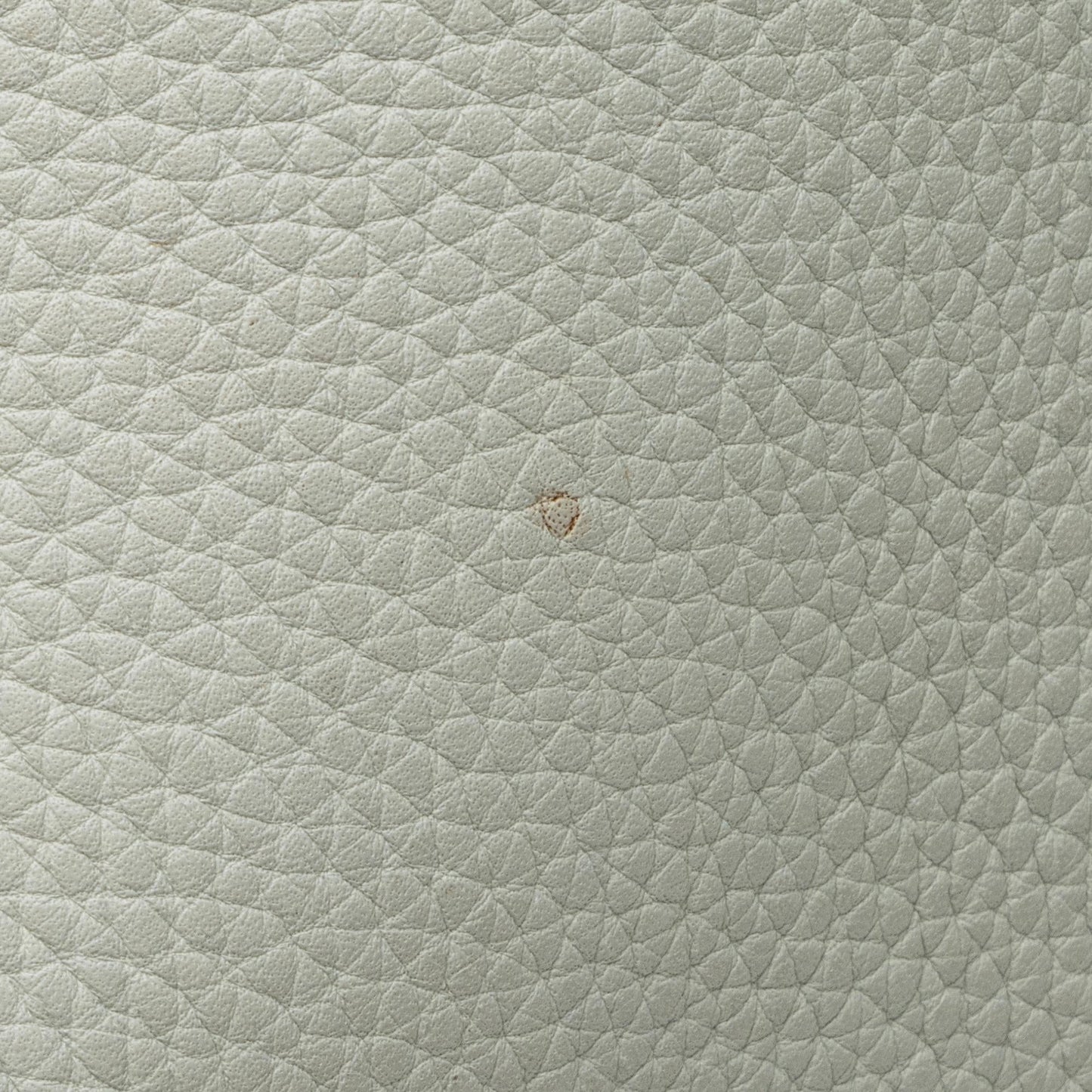 Celine Calfskin Phantom Luggage Tote (SHF-23576)