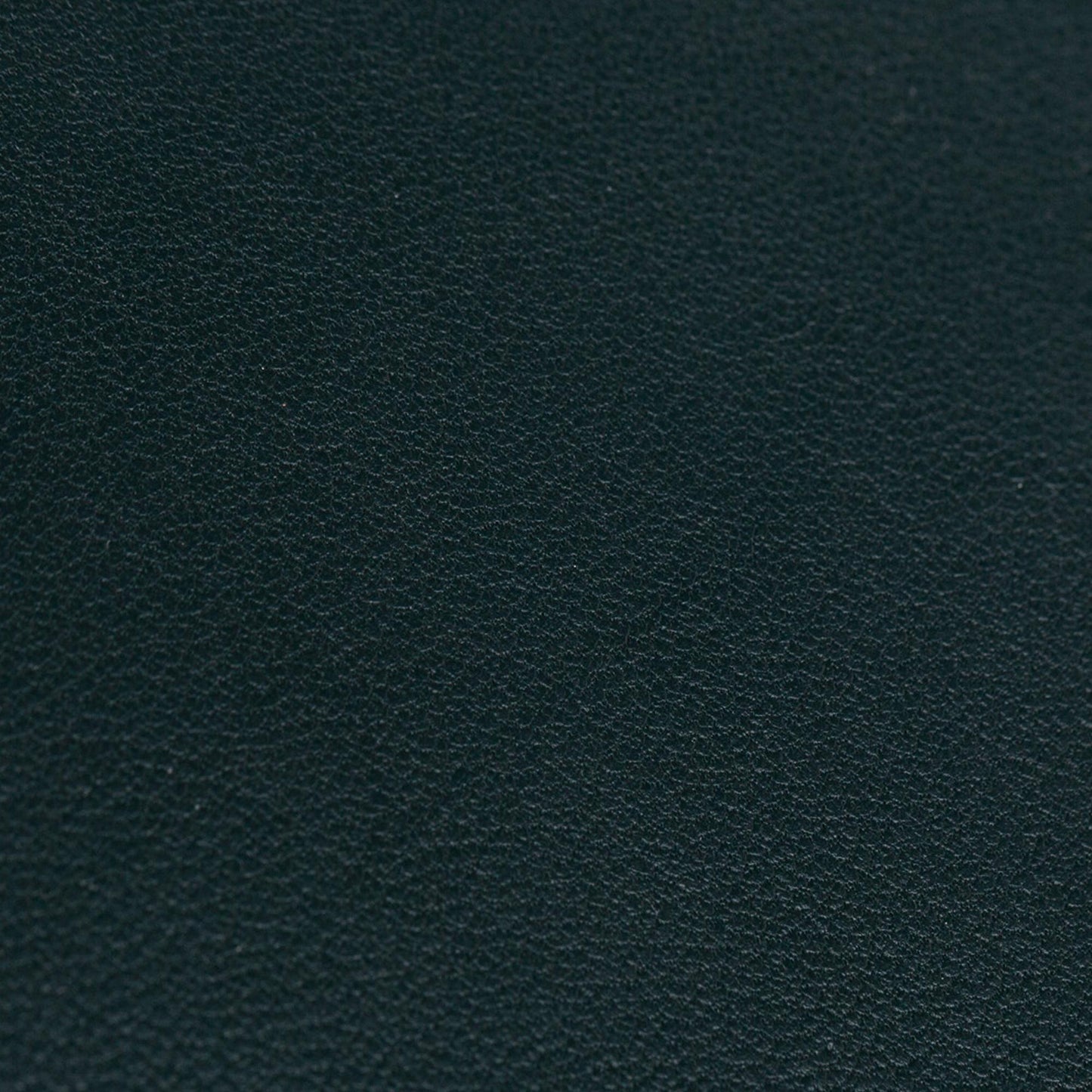 Celine Frame Leather Wallet On Chain (SHG-23361)