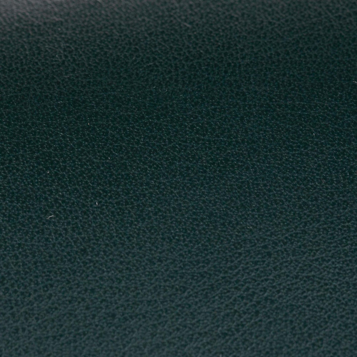 Celine Frame Leather Wallet On Chain (SHG-23361)