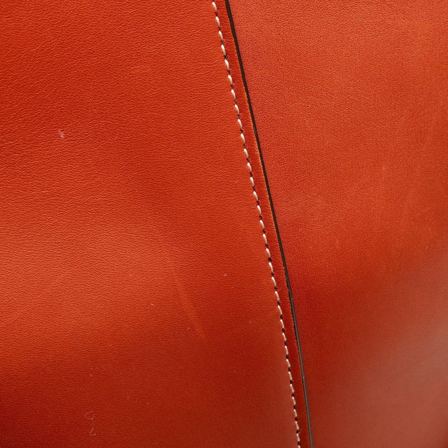 Celine Large Holdall Bucket Bag (SHG-TtpCix)
