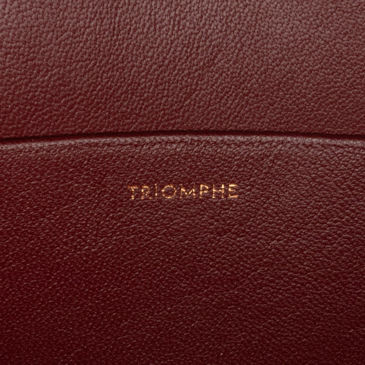 Celine Medium Triomphe Crossbody Bag (SHG-ewHuBe)