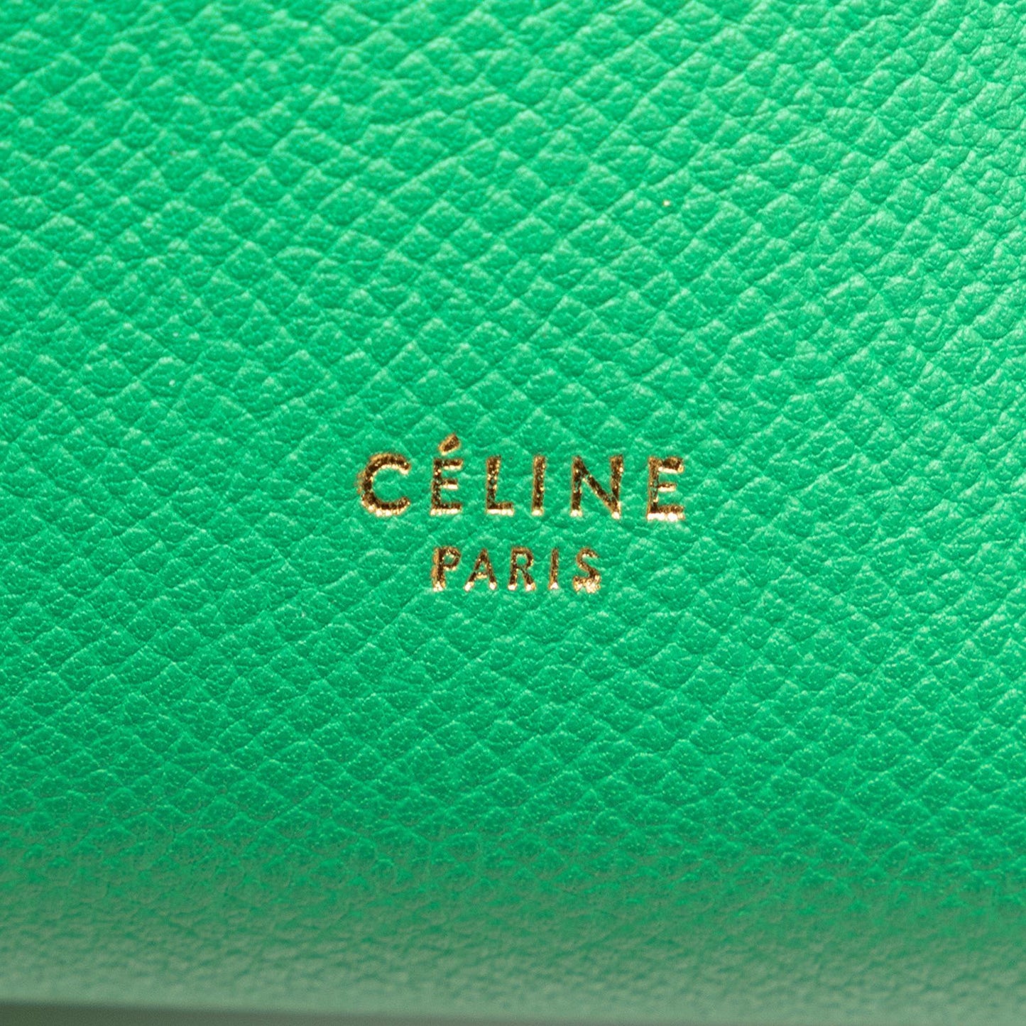 Celine Mini Belt Bag (SHG-ygCNKu)