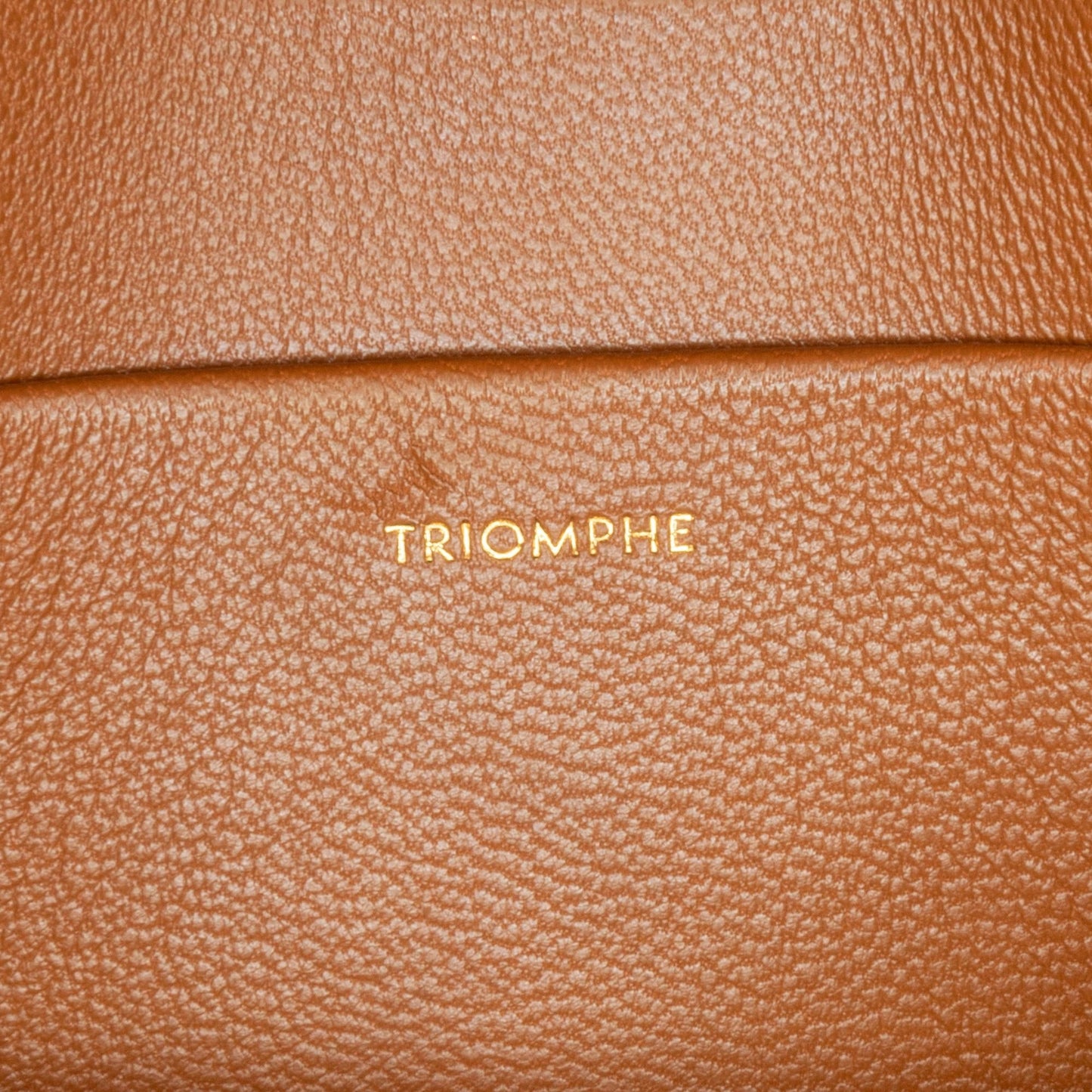 Celine Teen Canvas Triomphe (SHG-h5YGGL)