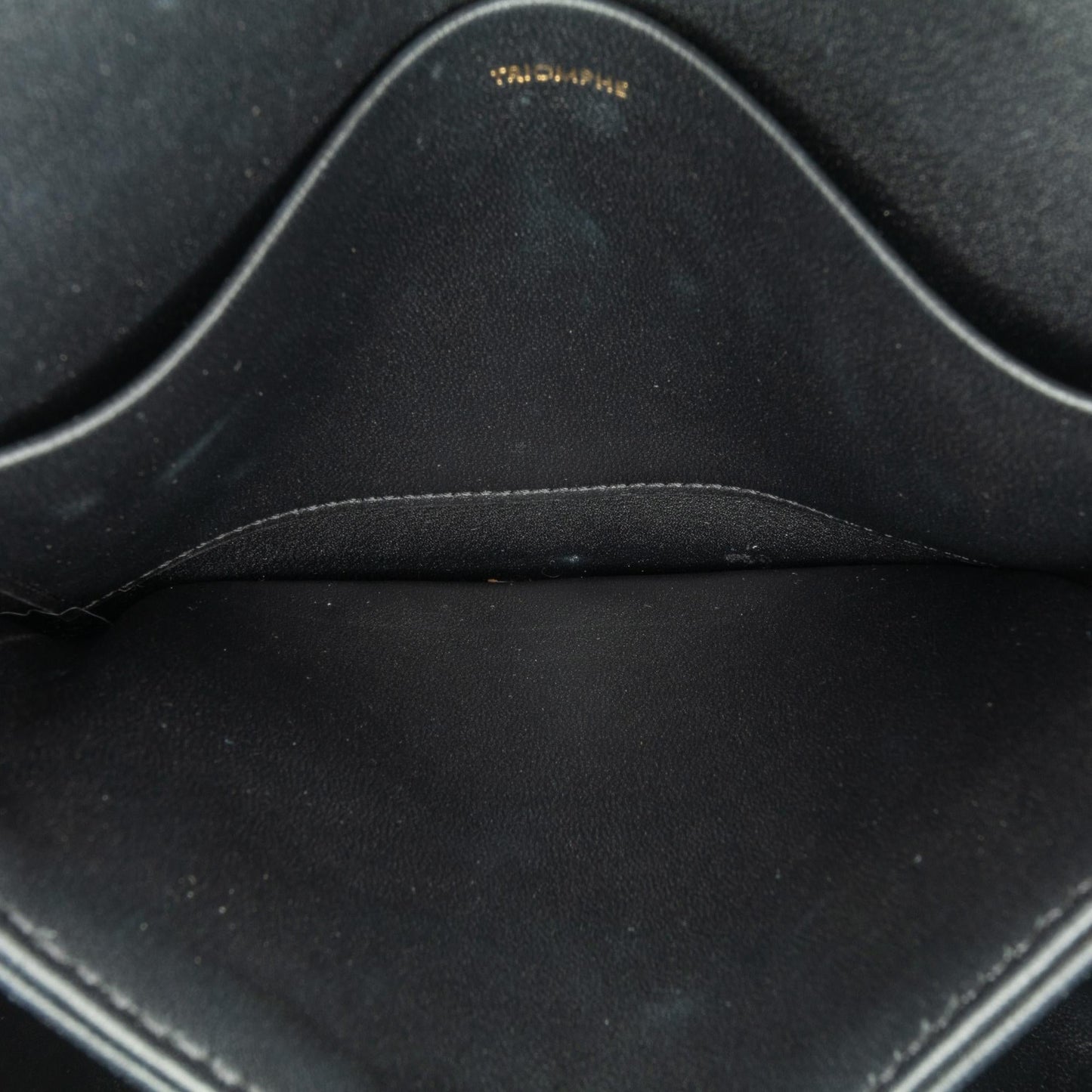 Celine Teen Shiny Calfskin Triomphe Bag (SHG-vb9Nof)