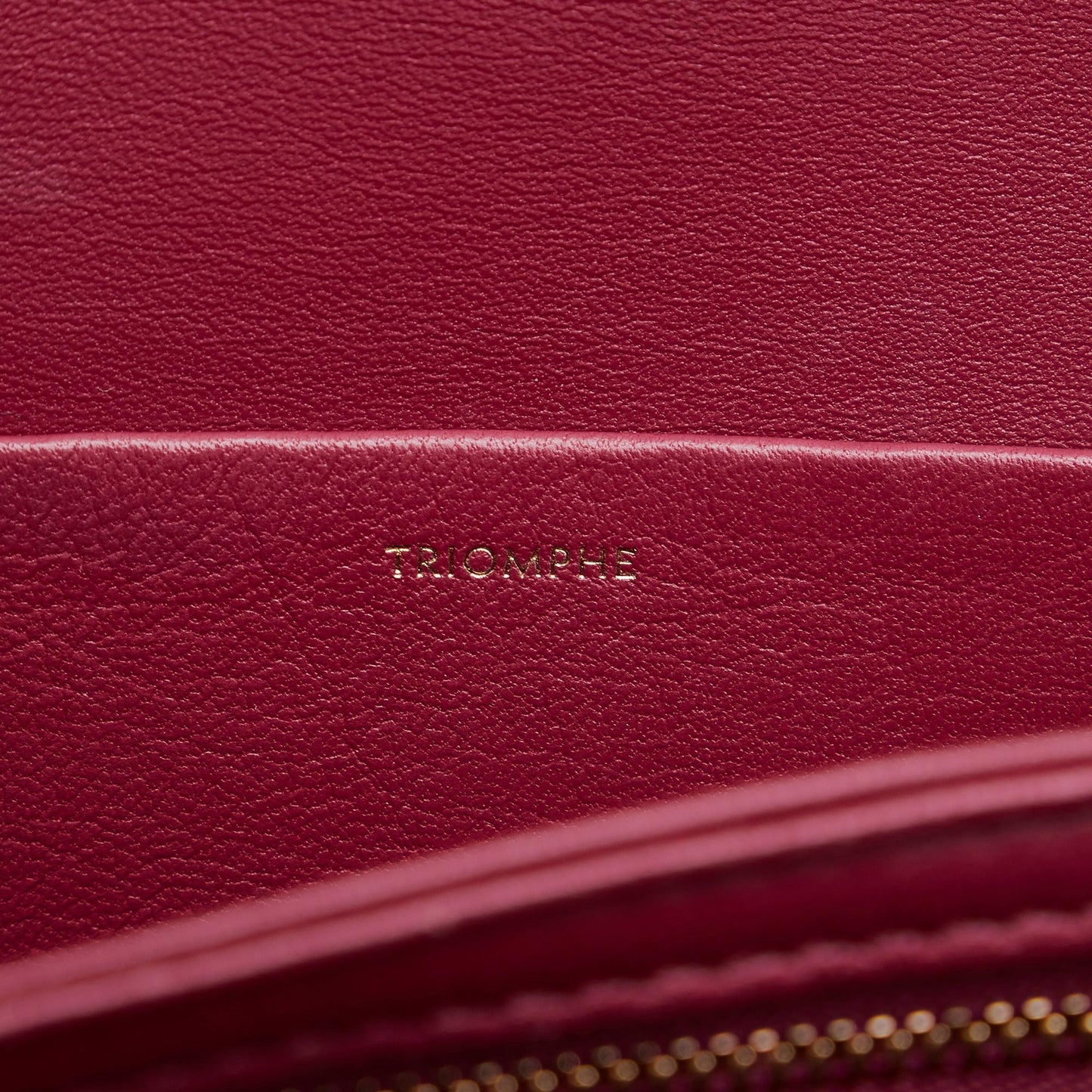 Celine Triomphe Crossbody (SHG-sNWq0M)