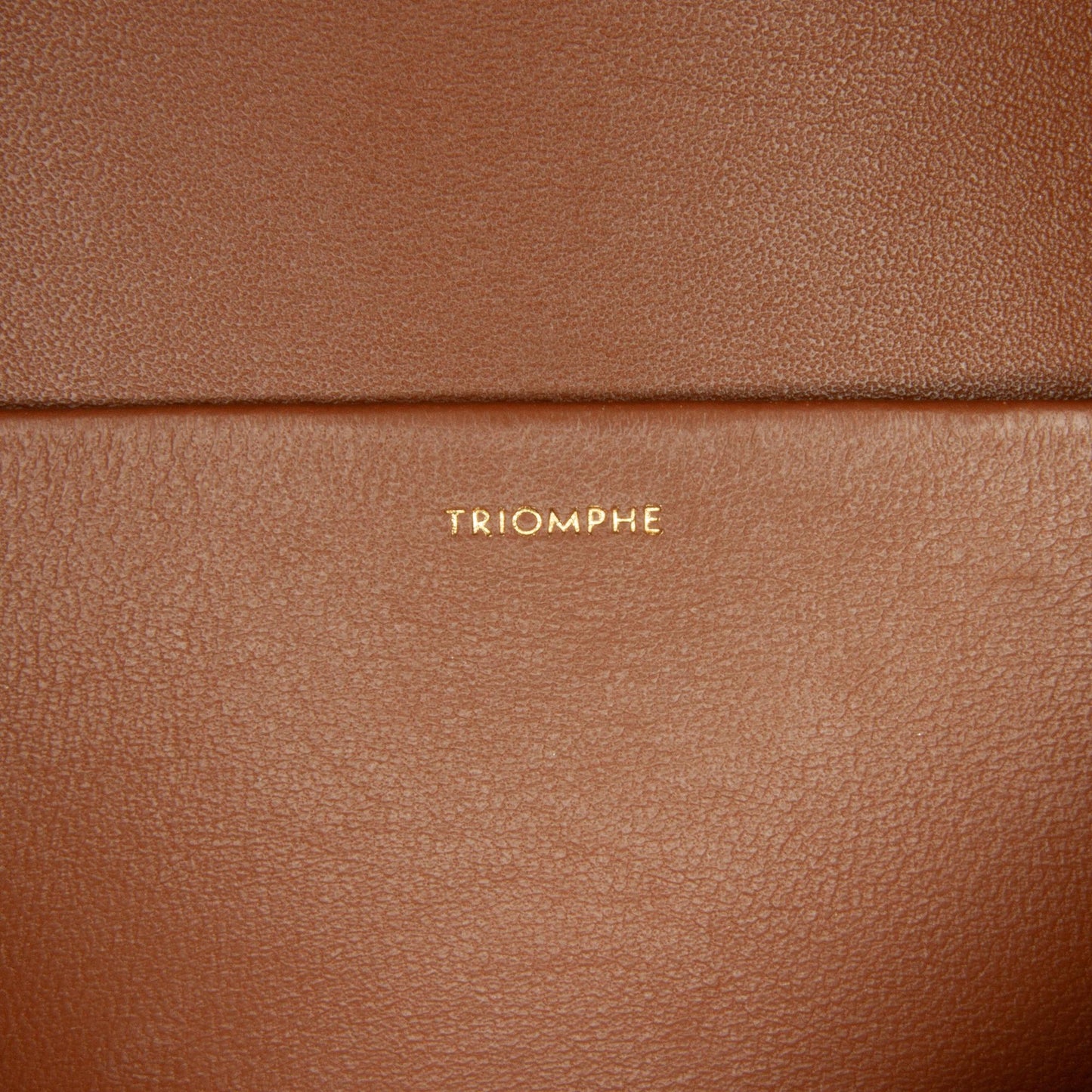 Celine Triomphe Shoulder Bag (SHG-s7KmPb)