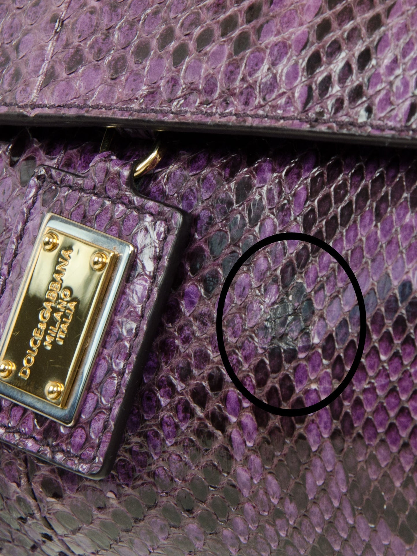 Large Snakeskin Miss Sicily Satchel