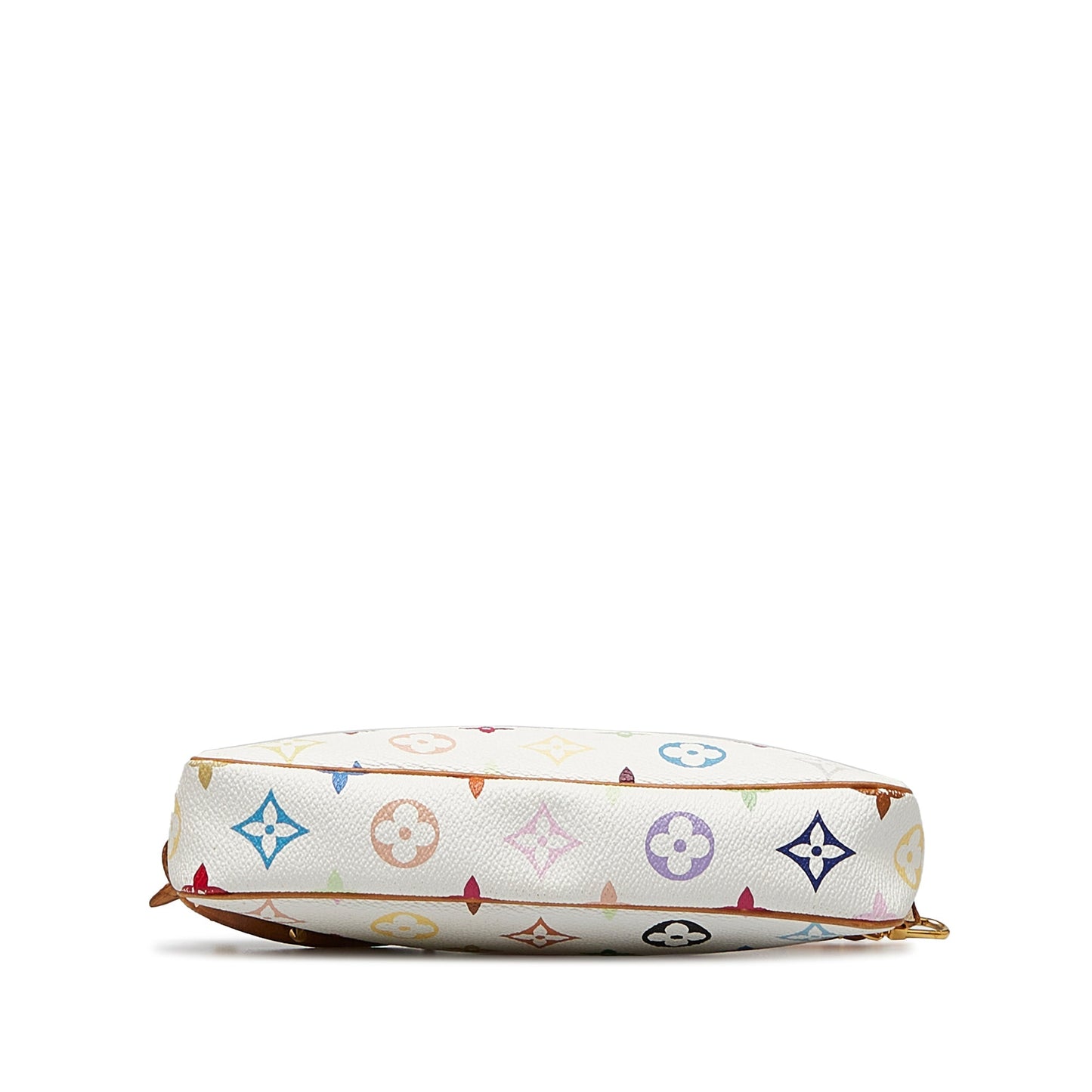 Louis Vuitton Pochette Accessoires Multicolor Monogram Canvas
