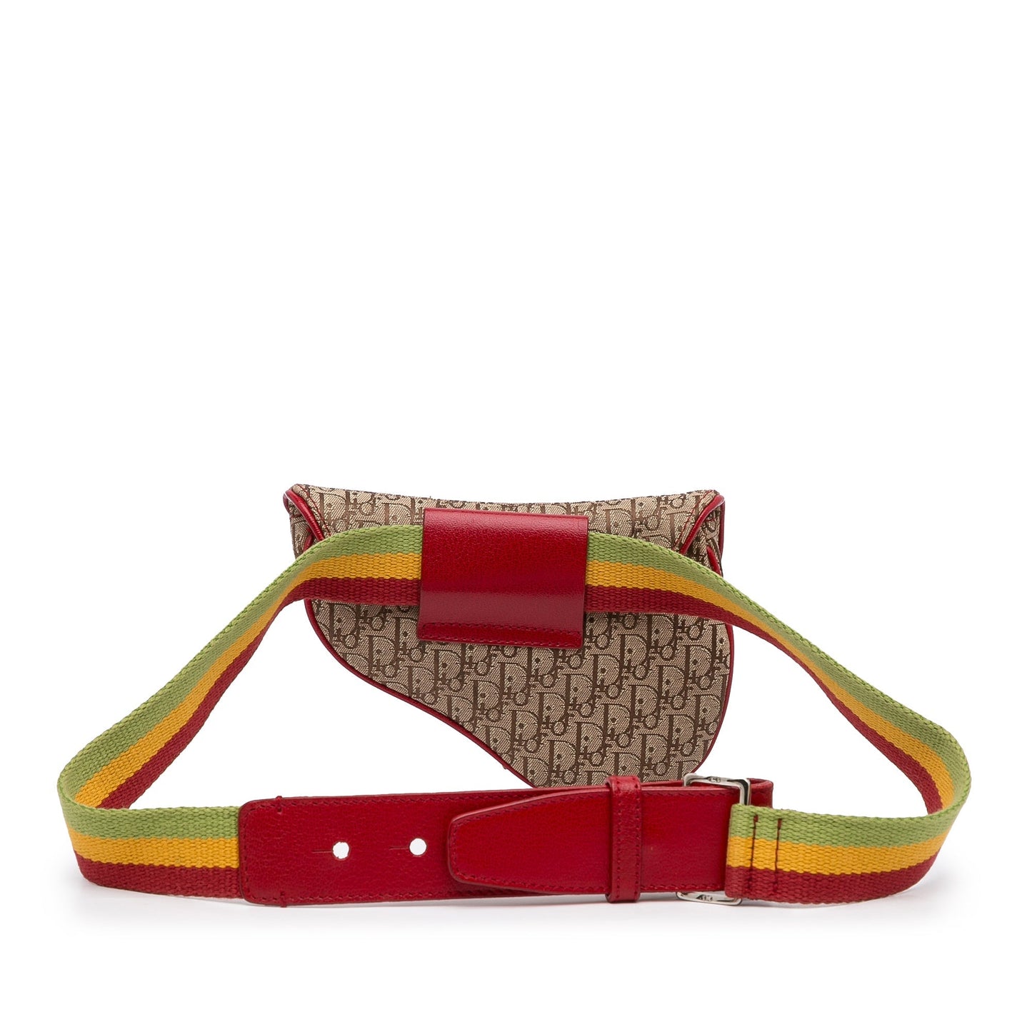 Dior Saddle Rasta Belt Bag Brown Oblique Canvas