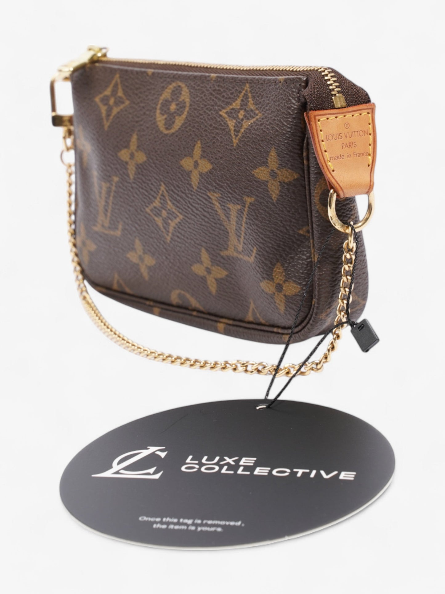 Louis Vuitton Pochette Accessoires Monogram Coated Canvas Mini