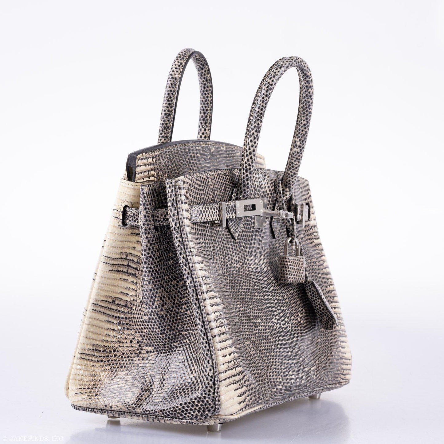HermÃƒÆ’Ã‚Â¨s Birkin 25 Ombre Lizard Palladium Hardware