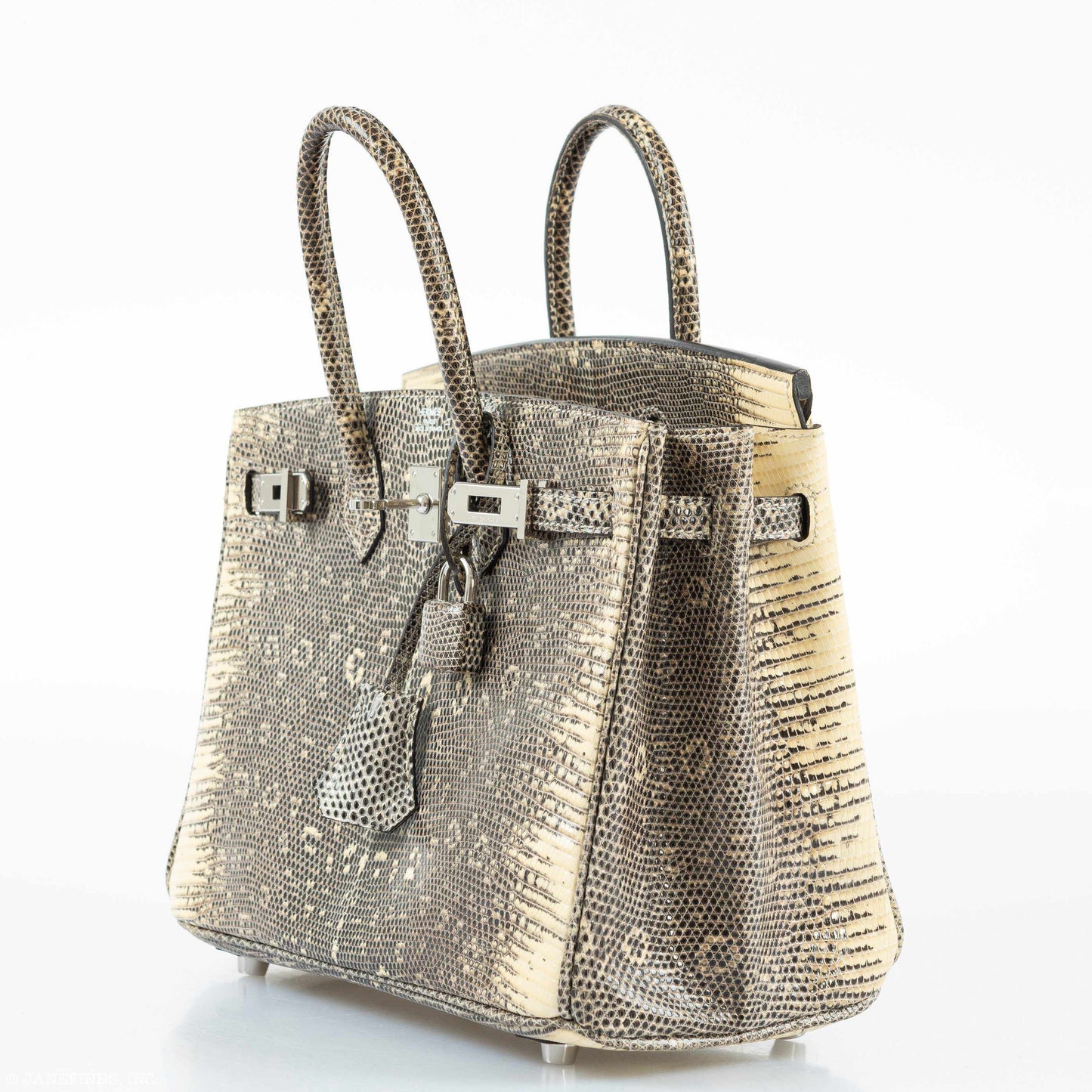 HermÃƒÆ’Ã‚Â¨s Birkin 25 Ombre Lizard Palladium Hardware - Rare