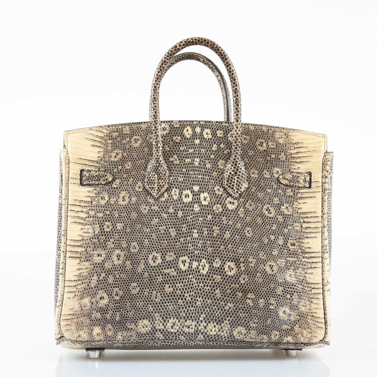 HermÃƒÆ’Ã‚Â¨s Birkin 25 Ombre Lizard Palladium Hardware - Rare