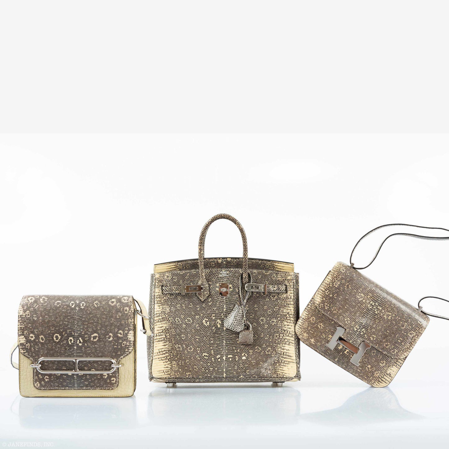 HermÃƒÆ’Ã‚Â¨s Birkin 25 Ombre Lizard Palladium Hardware - Rare