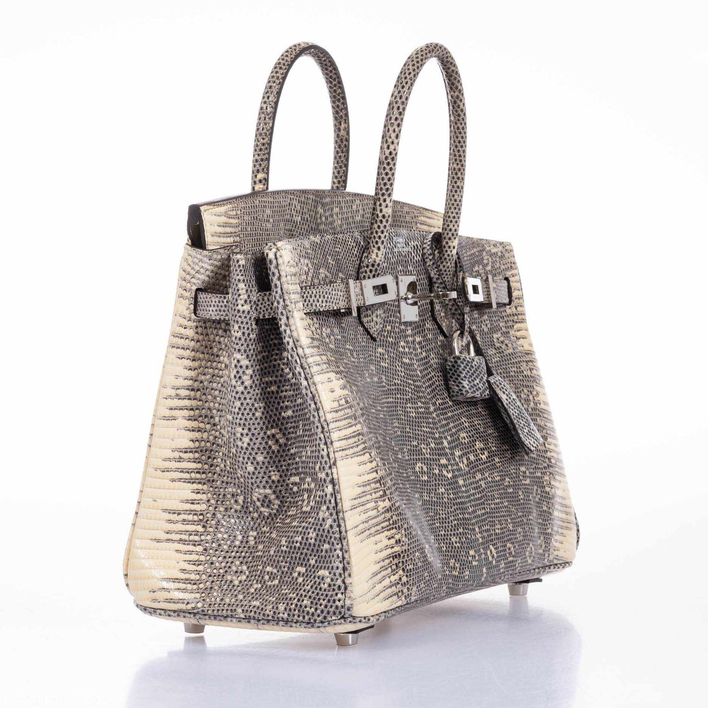 HermÃƒÆ’Ã‚Â¨s Birkin 25 Ombre Lizard Palladium Hardware - Very Rare