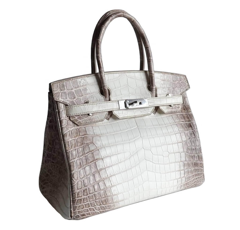 HermÃƒÆ’Ã‚Â¨s Birkin 30 Himalayan Niloticus Crocodile Bag