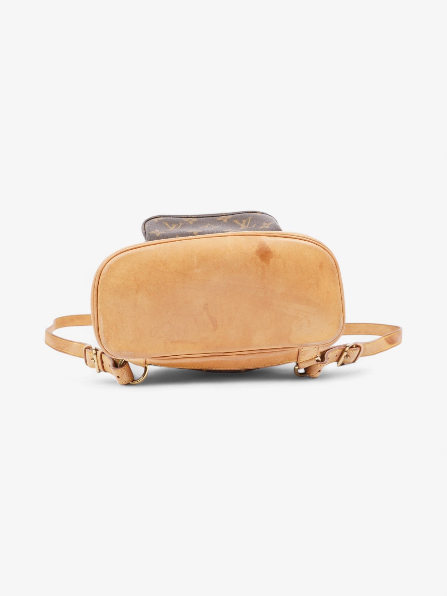 Louis Vuitton Montsouris Monogram Coated Canvas PM
