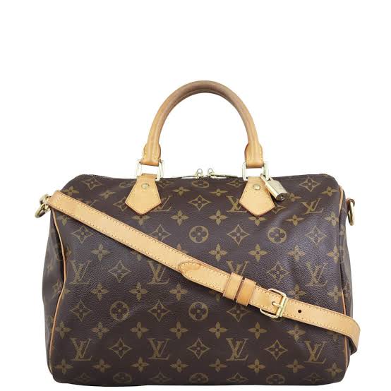 Louis Vuitton Monogram Speedy Bag
