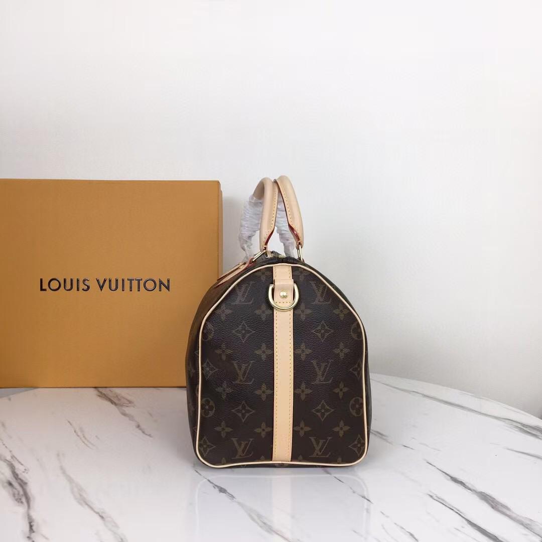 Louis Vuitton Monogram Speedy Bag