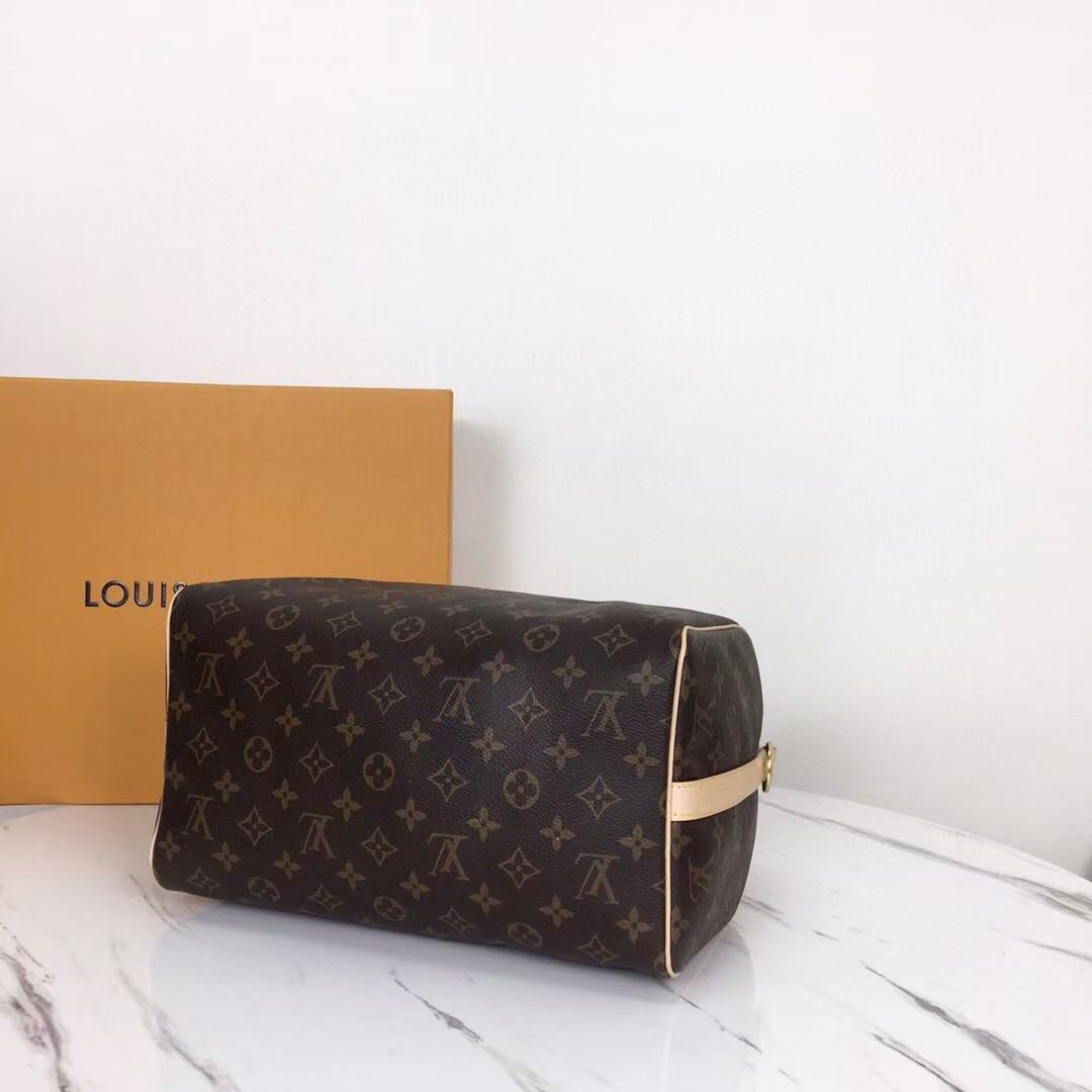 Louis Vuitton Monogram Speedy Bag