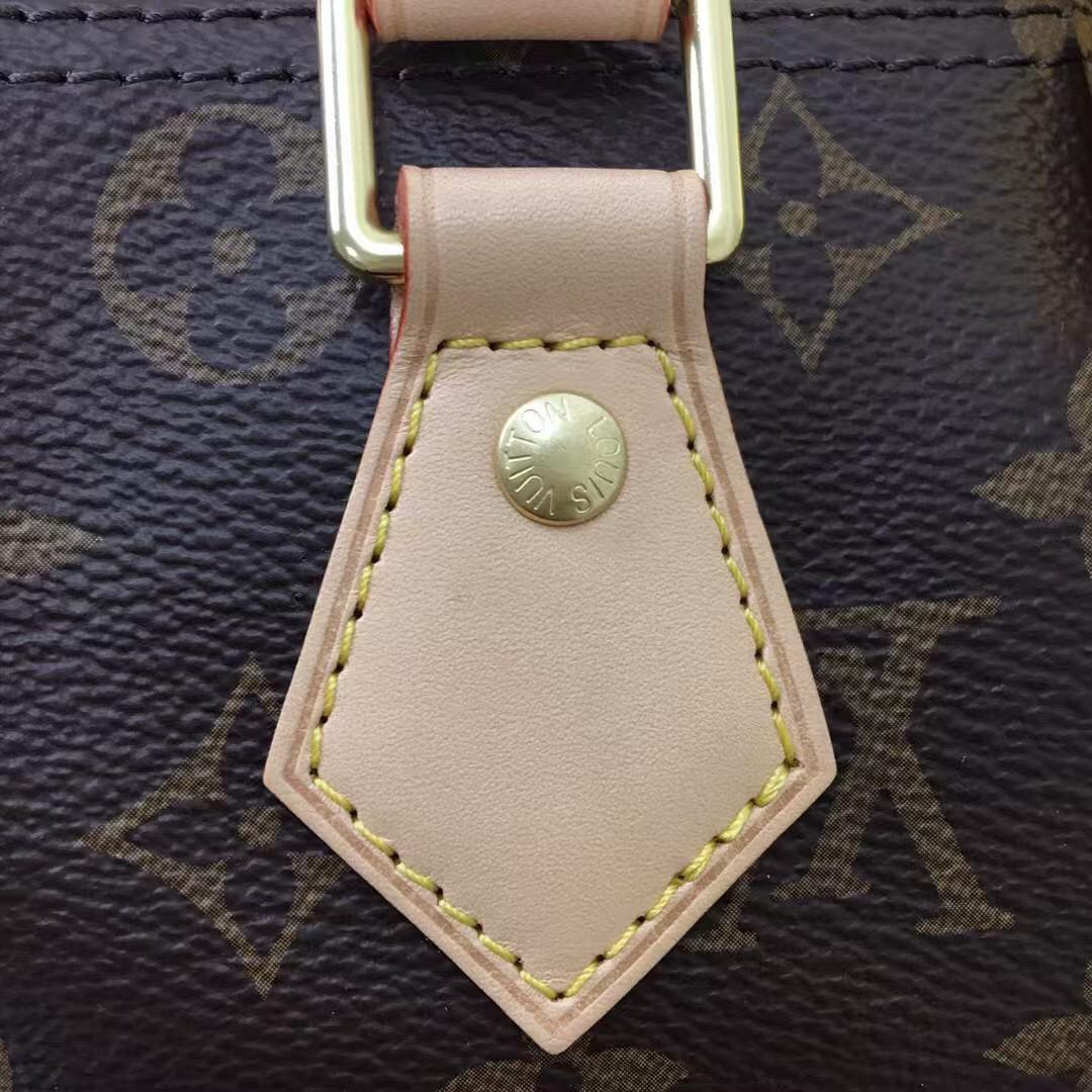 Louis Vuitton Monogram Speedy Bag