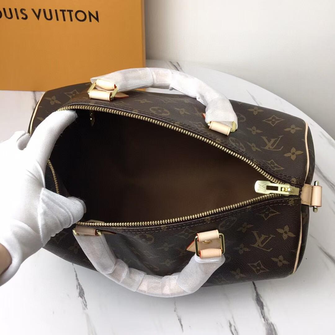 Louis Vuitton Monogram Speedy Bag