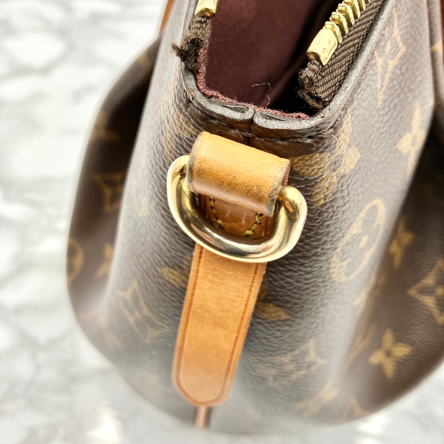 LOUIS VUITTON Monogram ThÃ¼ren