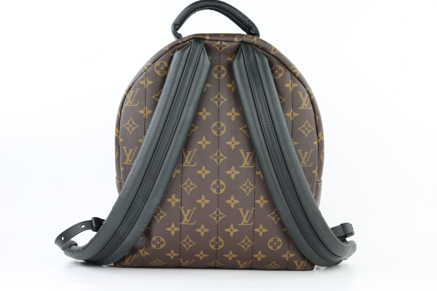 Monogram Palm Springs MM Backpack