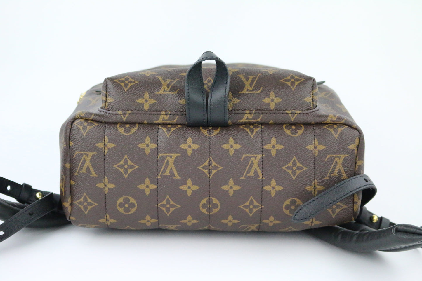Monogram Palm Springs MM Backpack