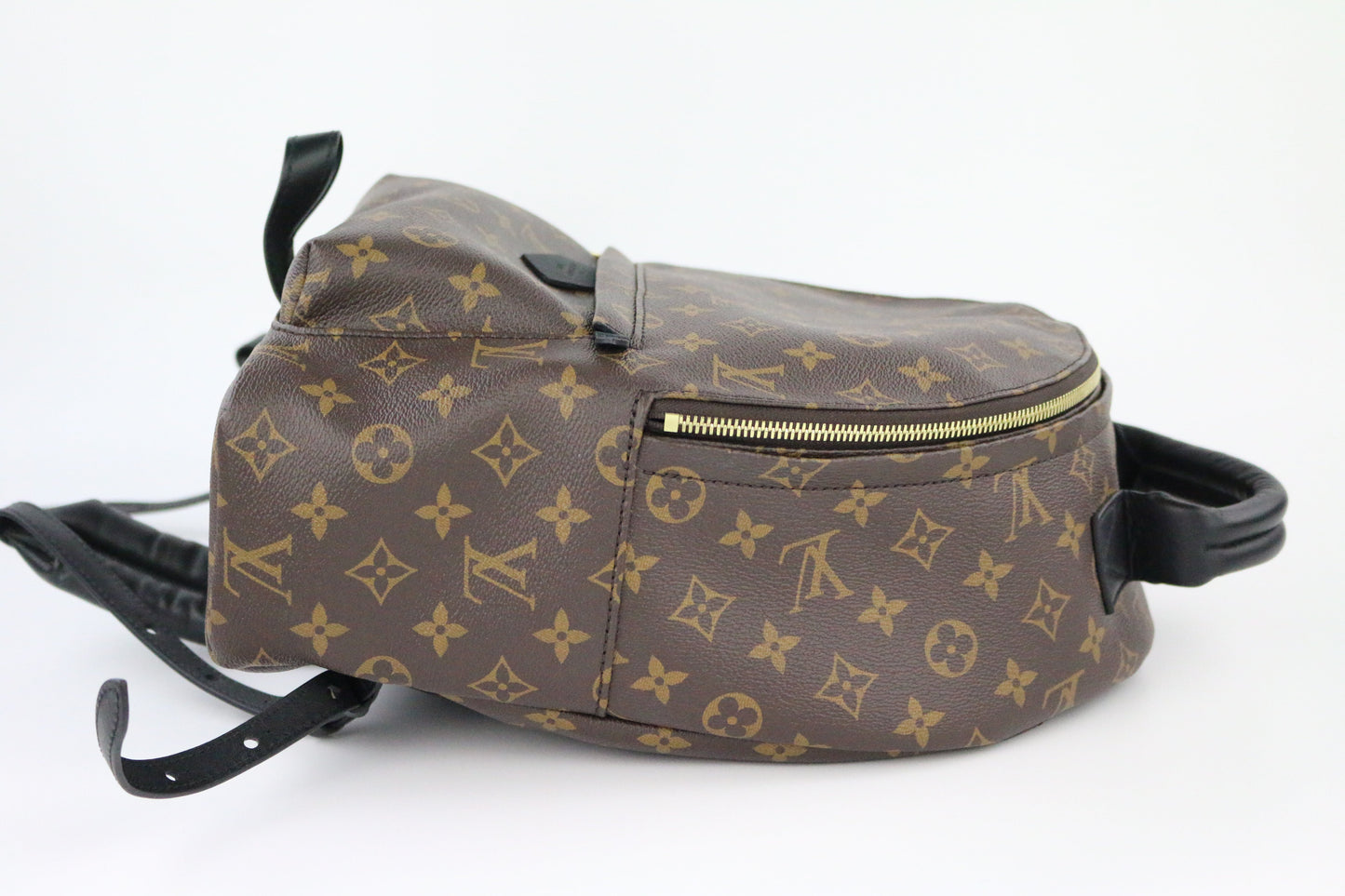 Monogram Palm Springs MM Backpack