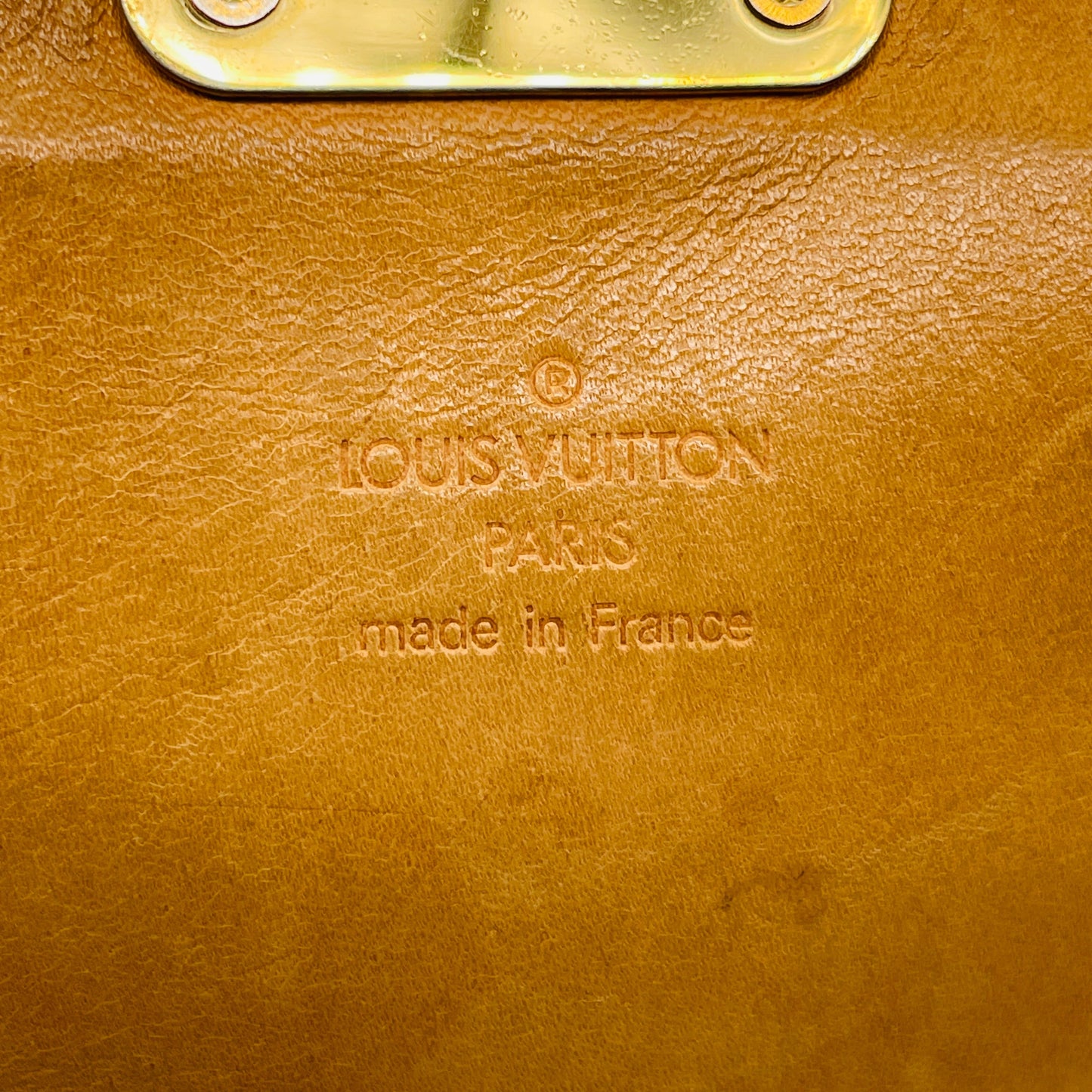 LOUIS VUITTON Multi colore Sologne