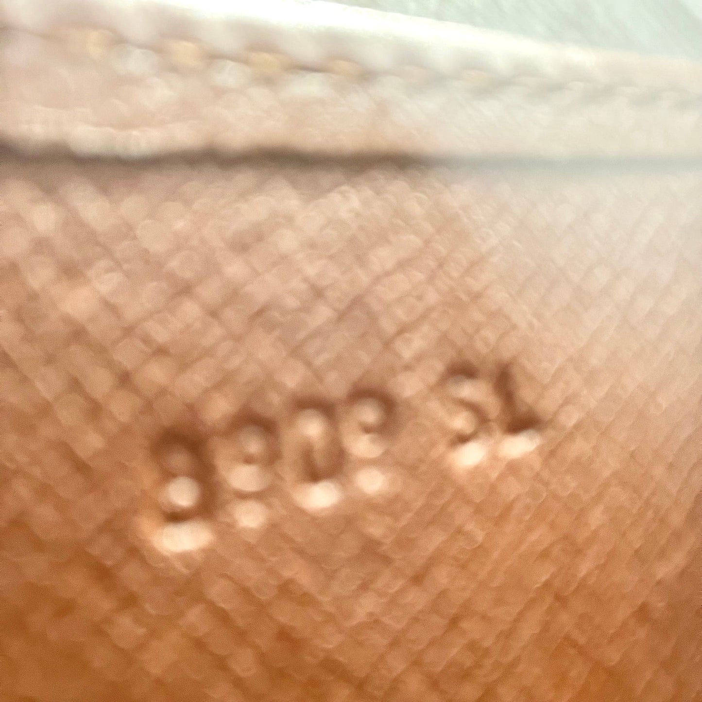LOUIS VUITTON Monogram carte chele
