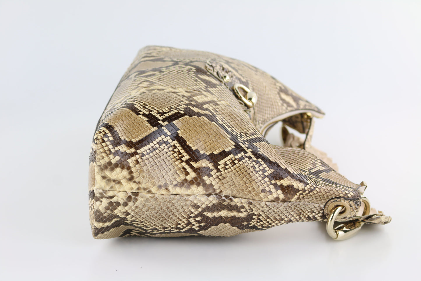 Python Sabrina Hobo