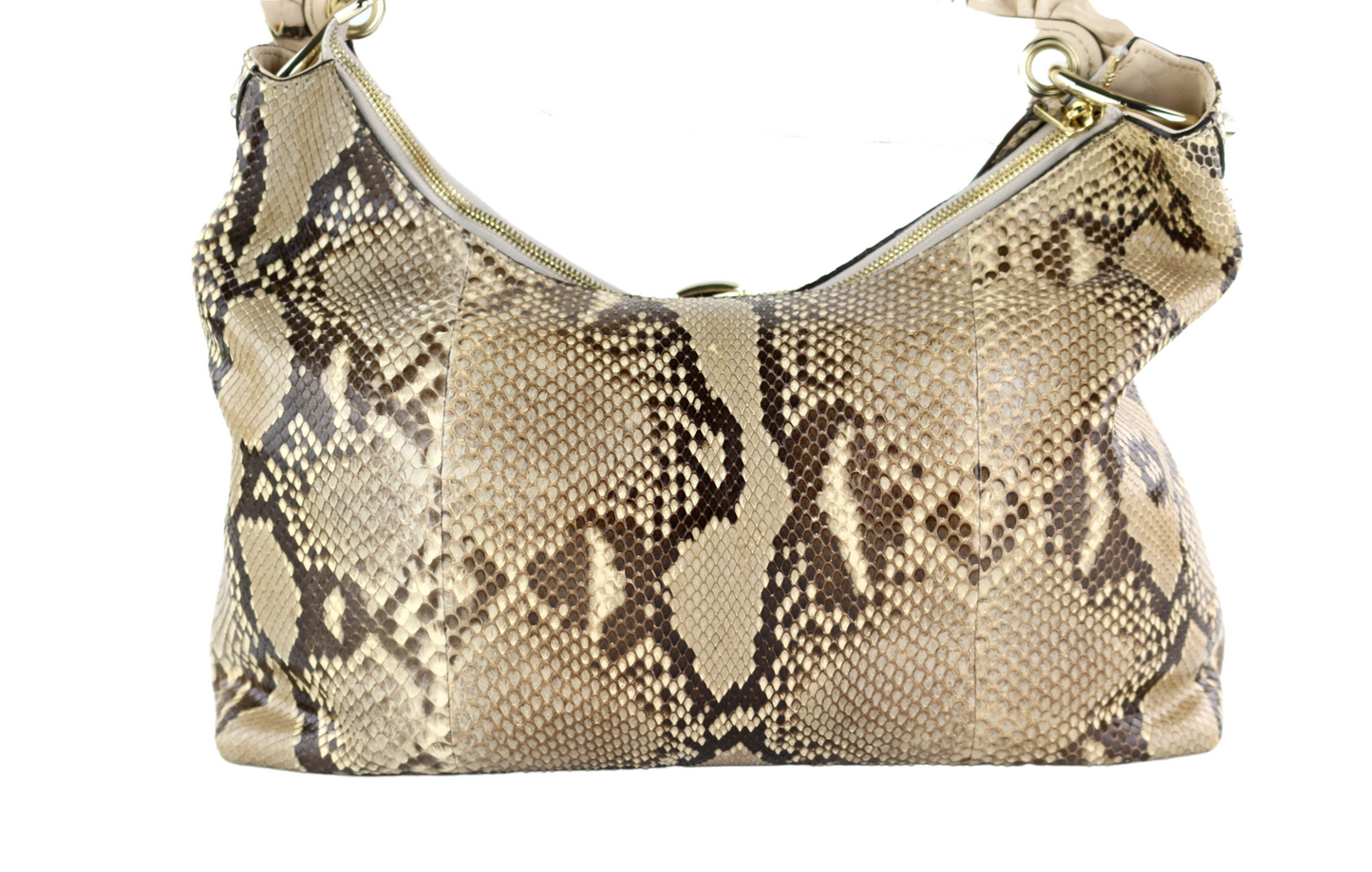 Python Sabrina Hobo