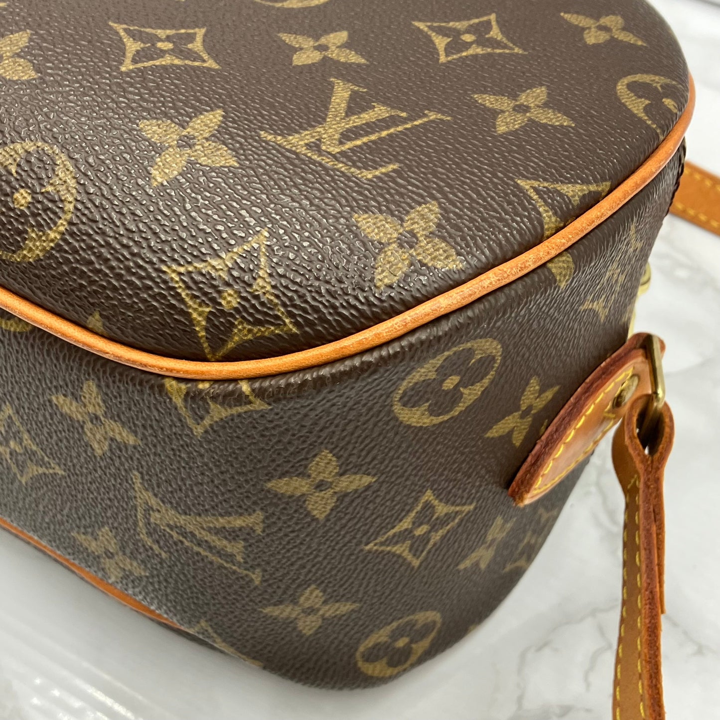 LOUIS VUITTON Monogram Blois