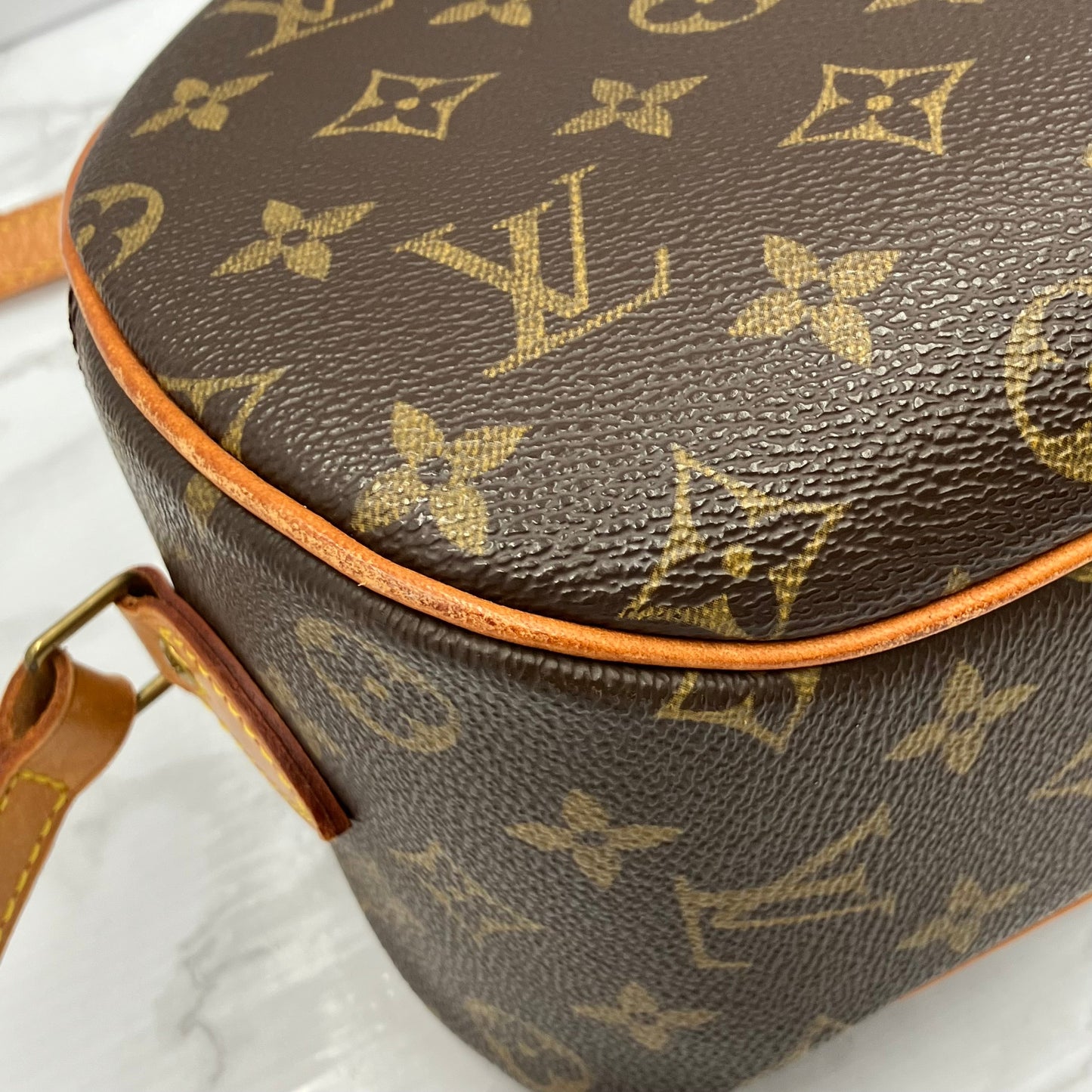 LOUIS VUITTON Monogram Blois