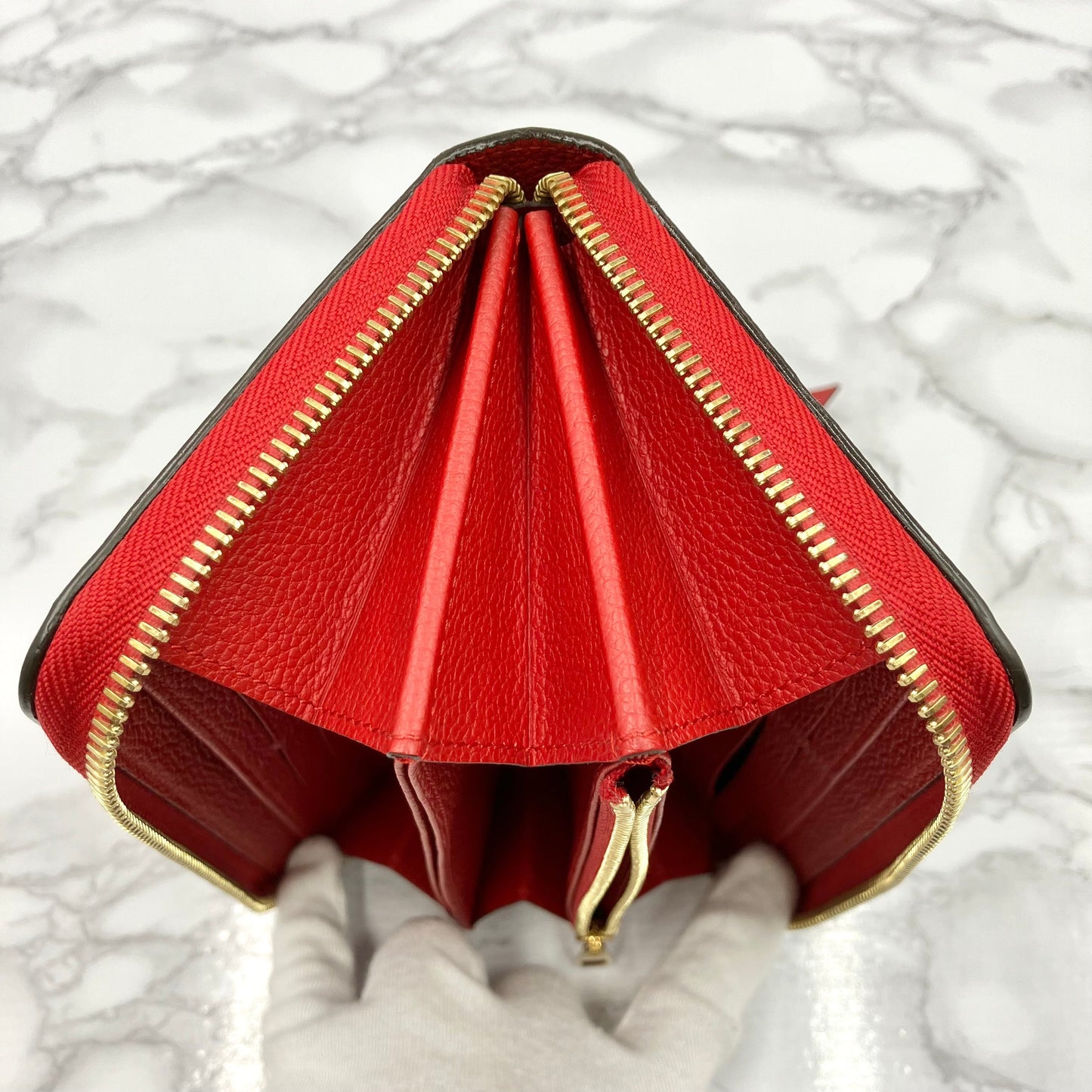 LOUIS VUITTON Amplant Zippy